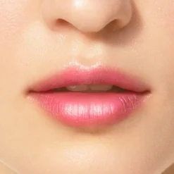 Chantecaille Spring CollectionWM LIP CHIC CARPATHIA -Baremin Beauty Winkel G0QRYD1088651 8 global